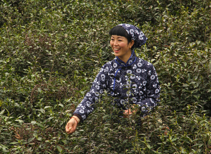 优酷直艾米 黑色电影